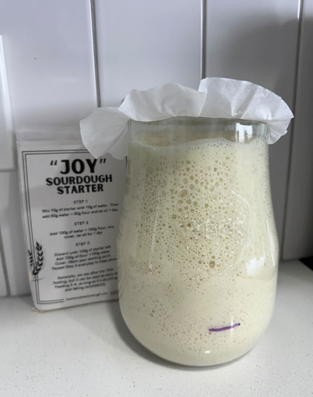 How To Activate Roselle’s Sourdough Starter