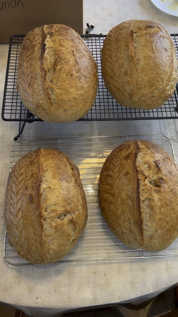 Using unfed sourdough starter to make 4 sourdough breads